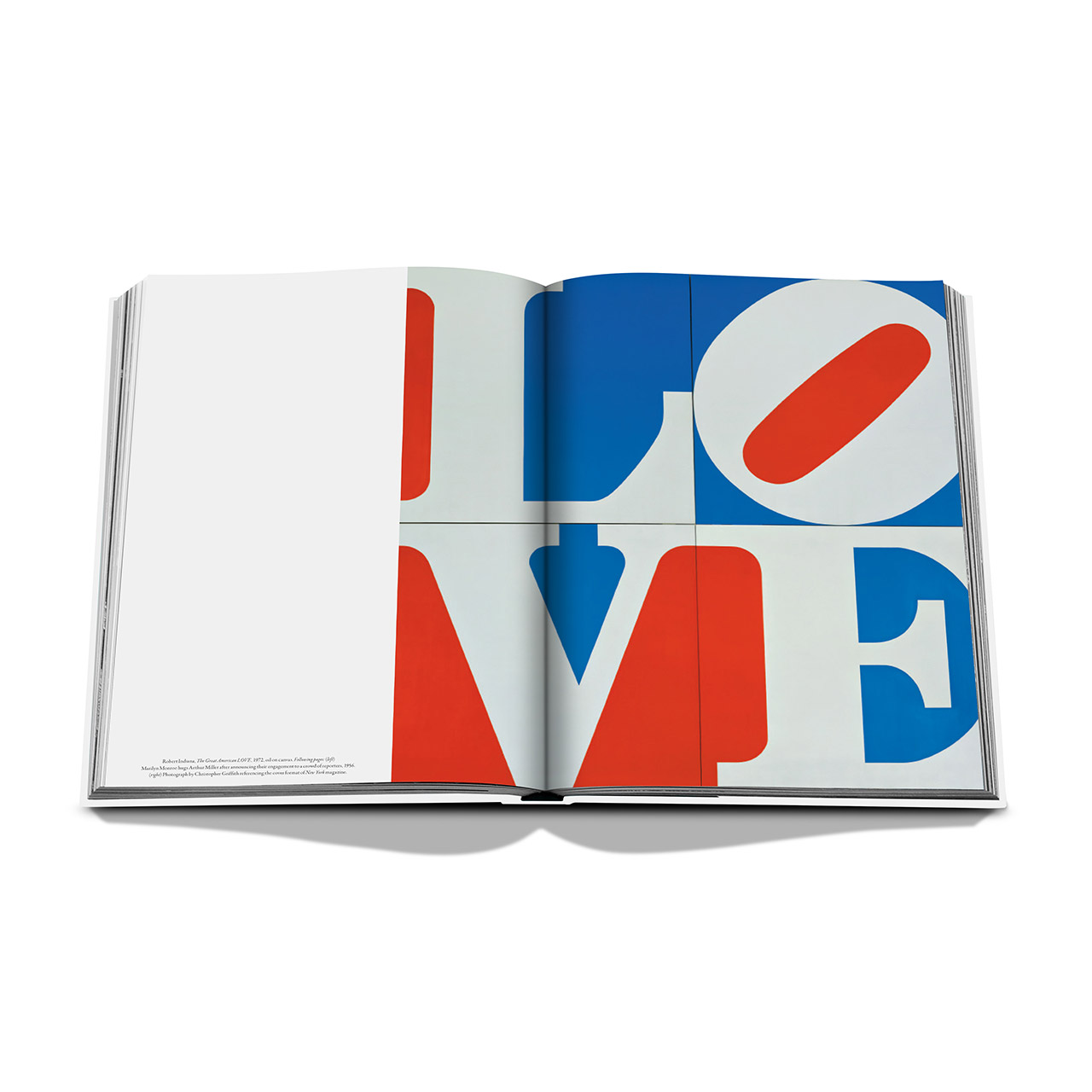 Coffee table book Heart & Love