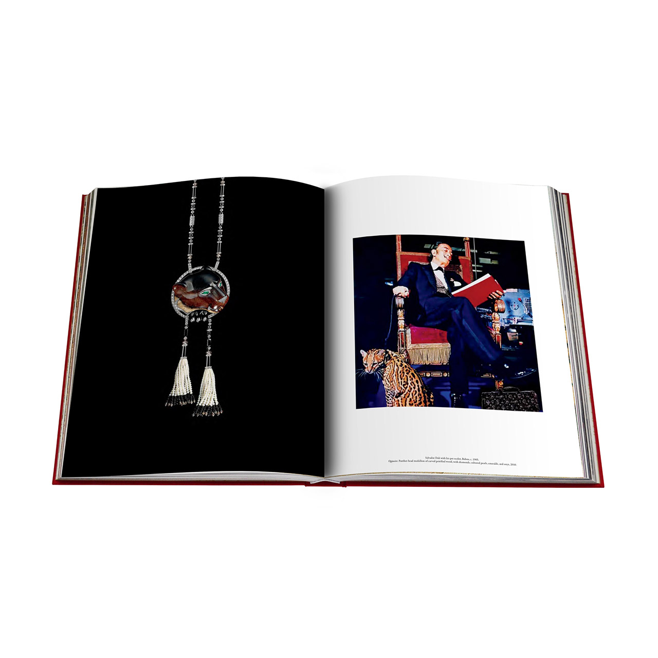 Coffee table book Cartier Panthere