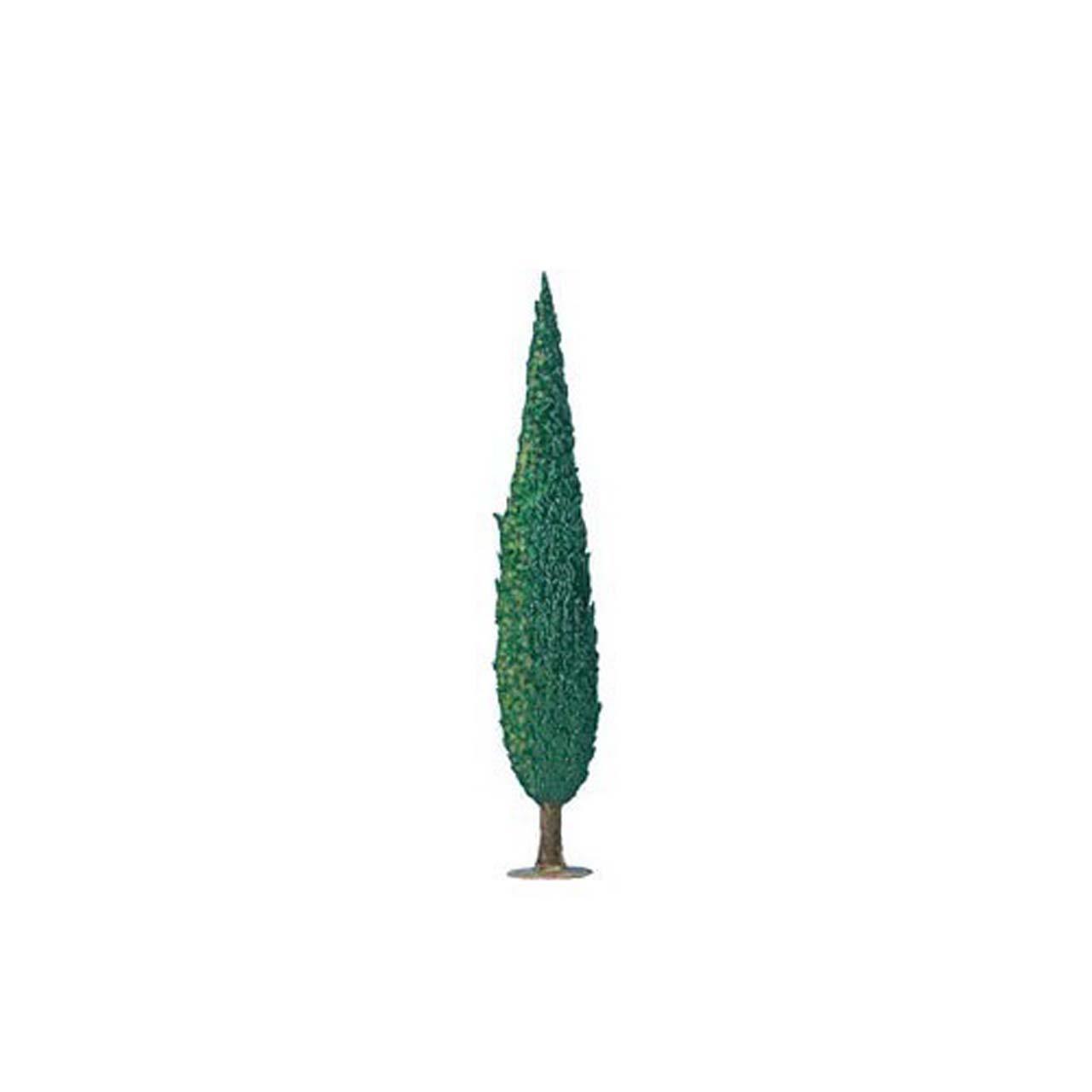 Cypress 14 cm