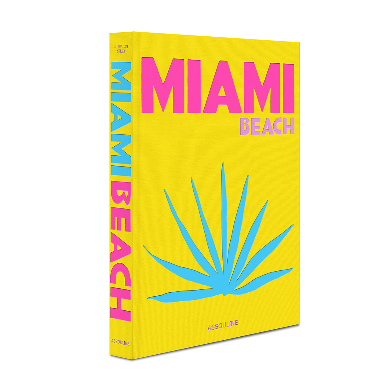 Coffee table book Miami Beach