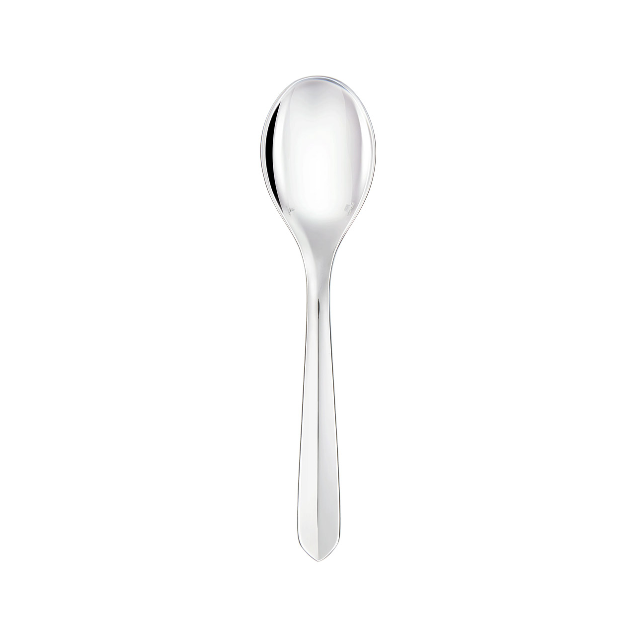 Dinner Spoon Universal