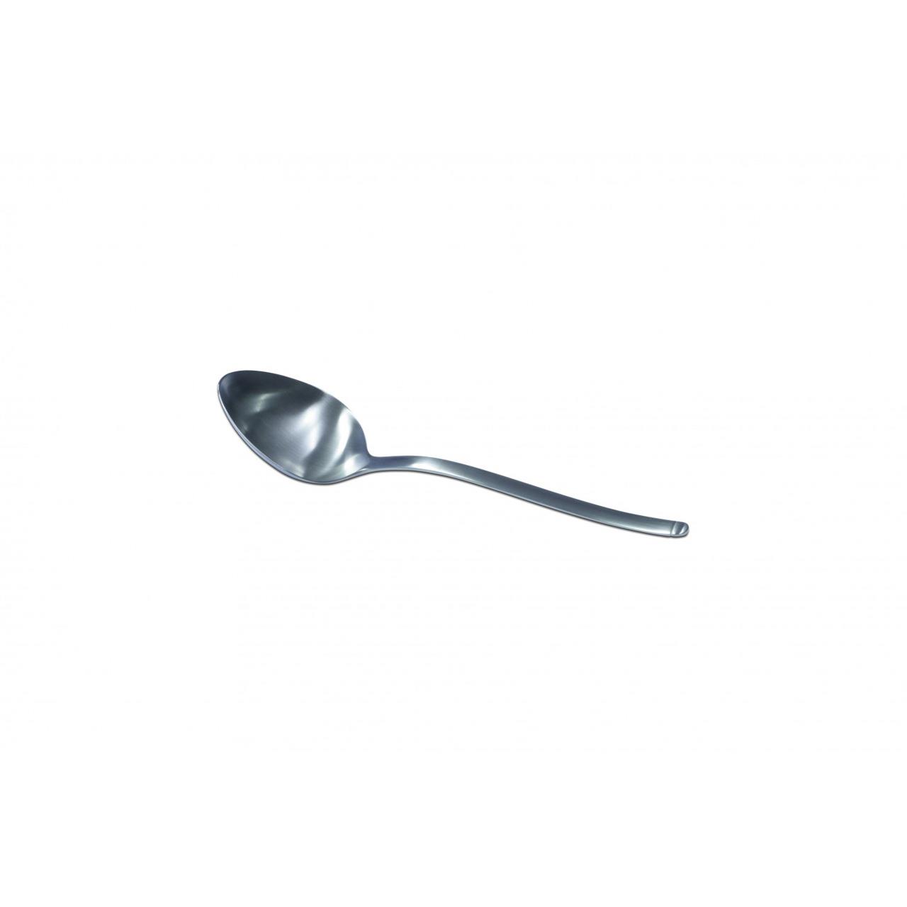 Serving Spoon