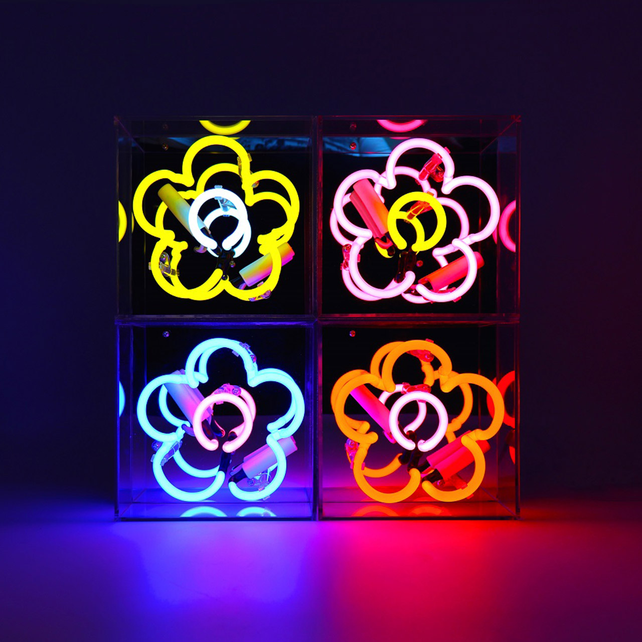 Mini Acrylic Box Neon - Daisy - Pink