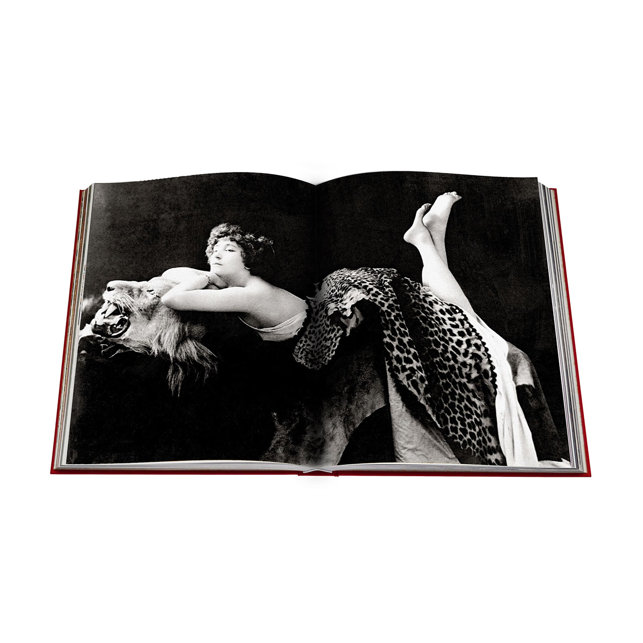 Coffee table book Cartier Panthere