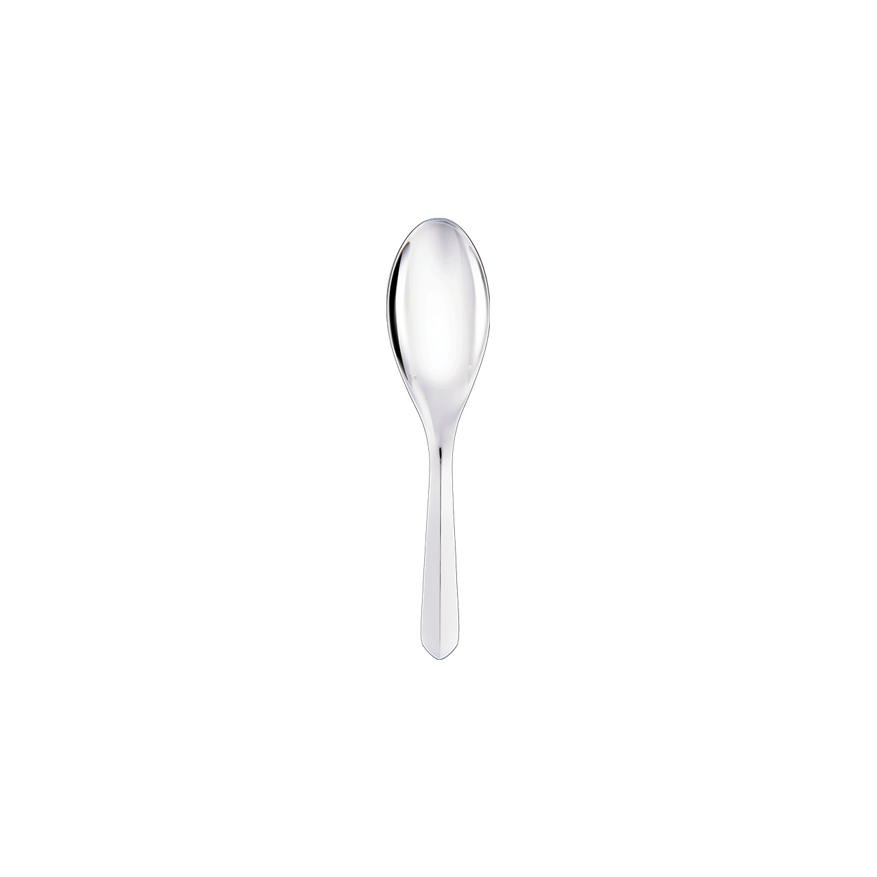 Vegetable Spoon