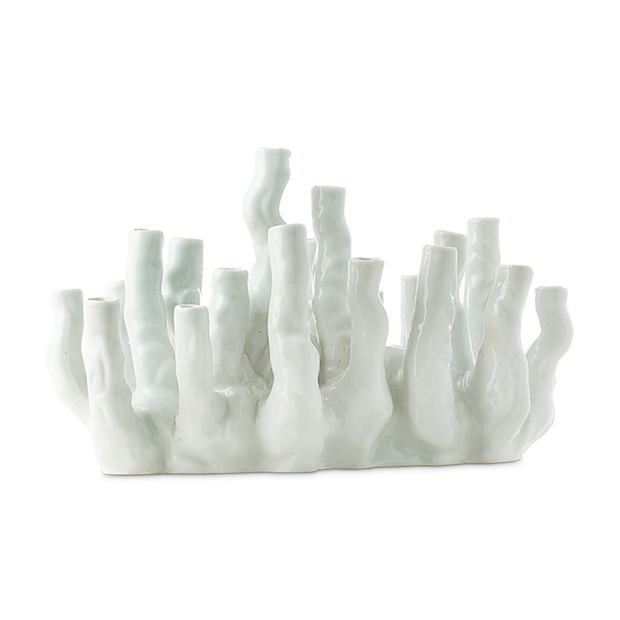 Vase coral reef white