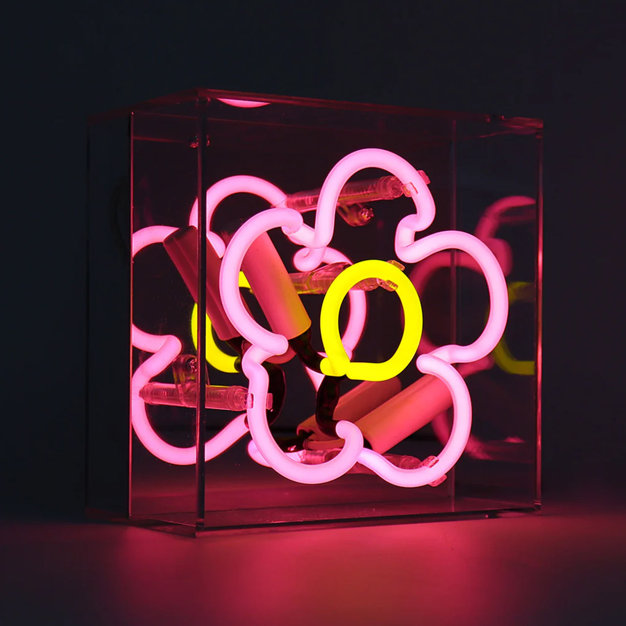 Mini Acrylic Box Neon - Daisy - Pink