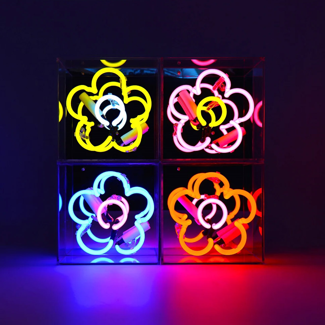 Mini Acrylic Box Neon - Daisy - Blue