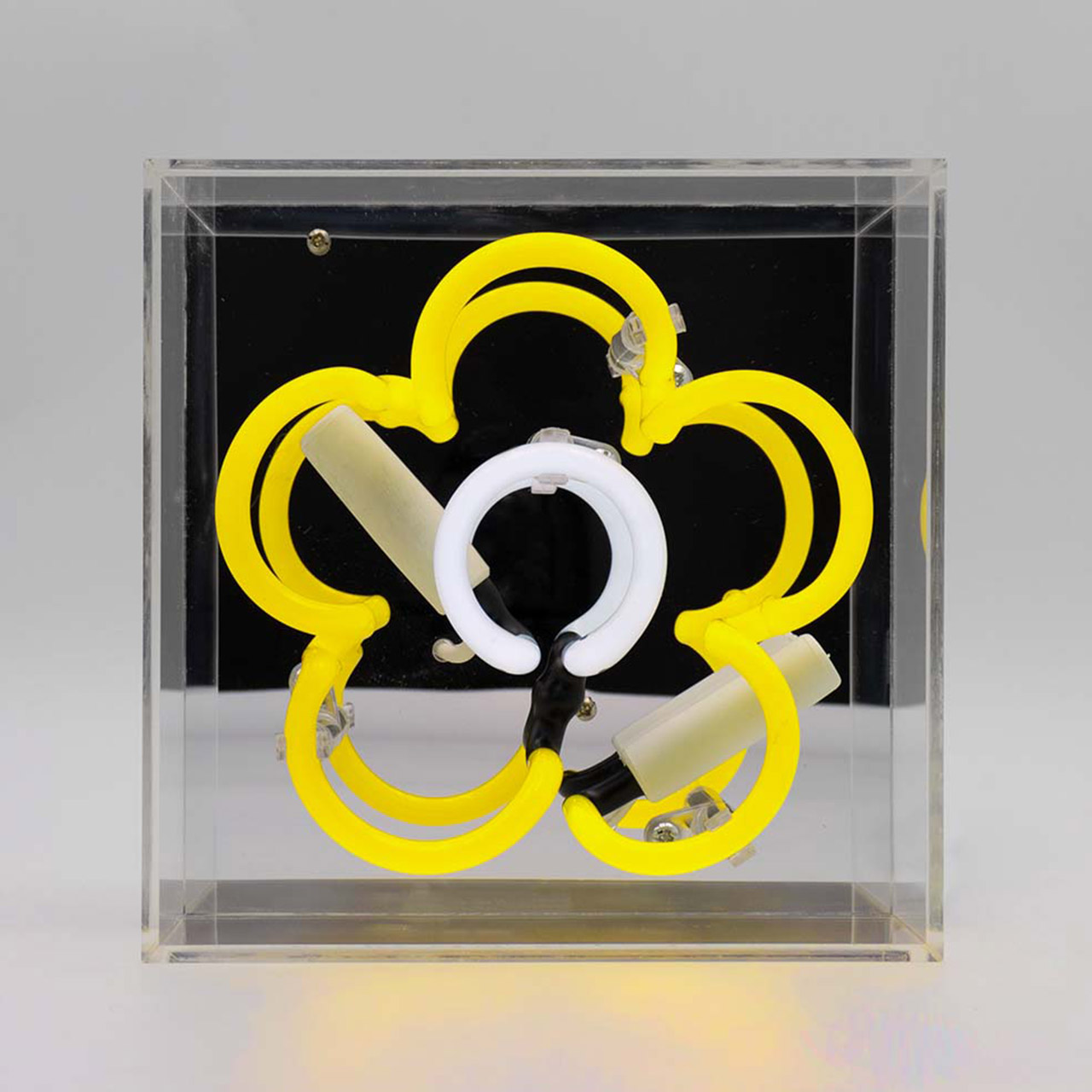 Mini Acrylic Box Neon - Daisy - Yellow