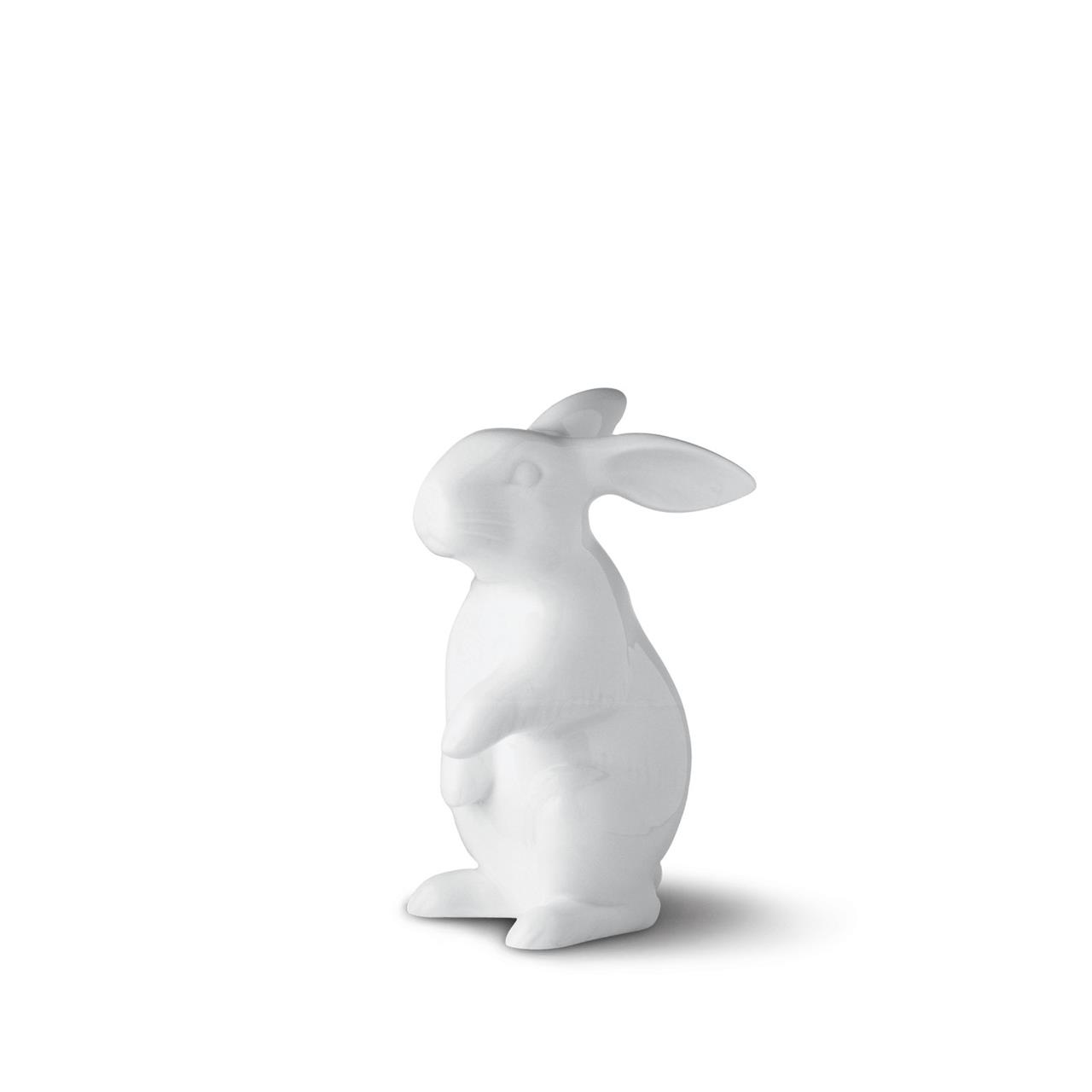 Hare standing white