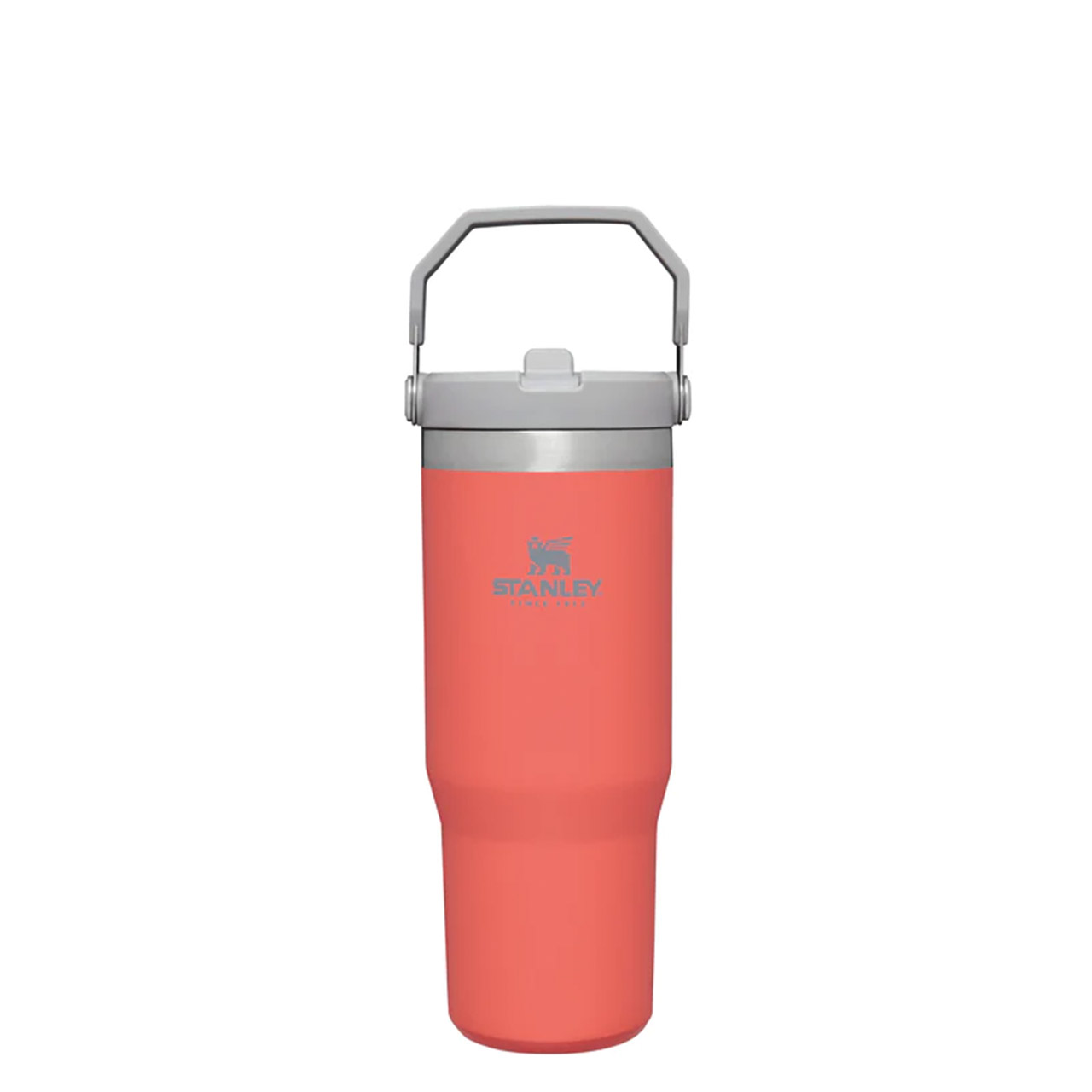 Tumbler with Straw 0.89 l guava