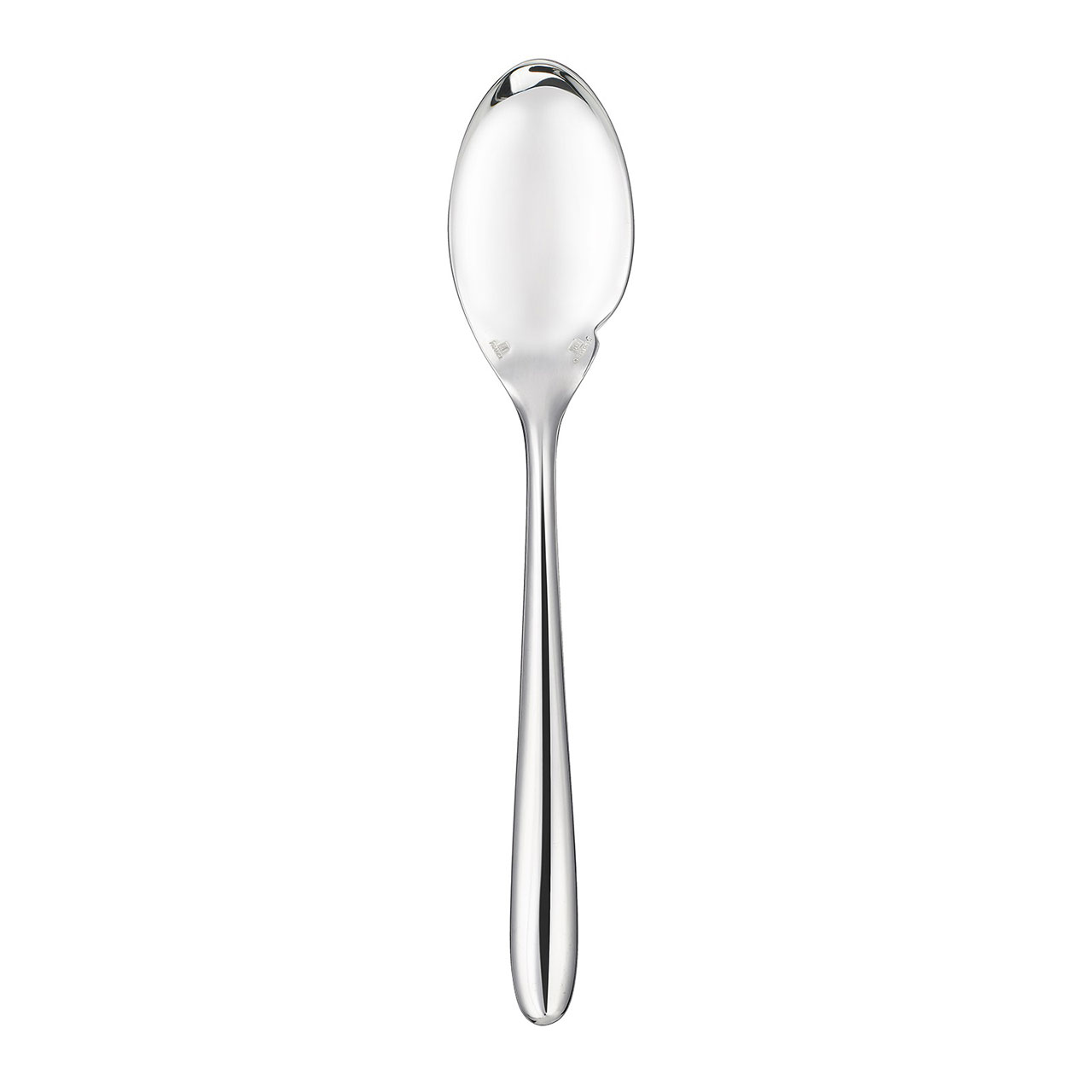 Sauce Ladle individual