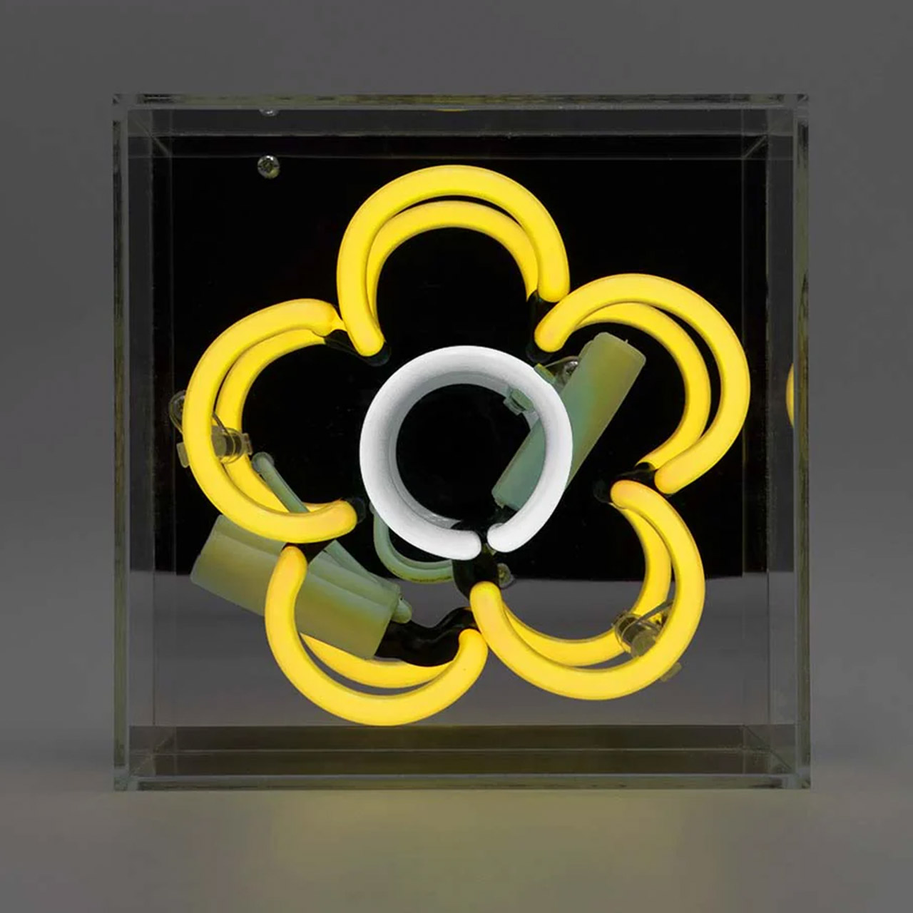 Mini Acrylic Box Neon - Daisy - Yellow