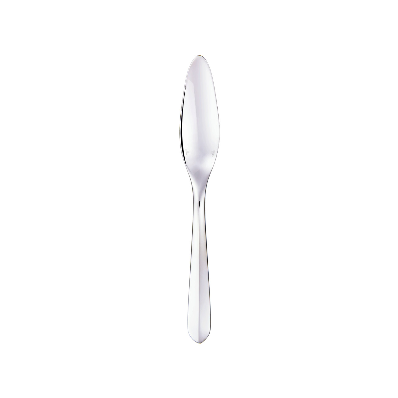 Fish Knife / Gourmet Spoon