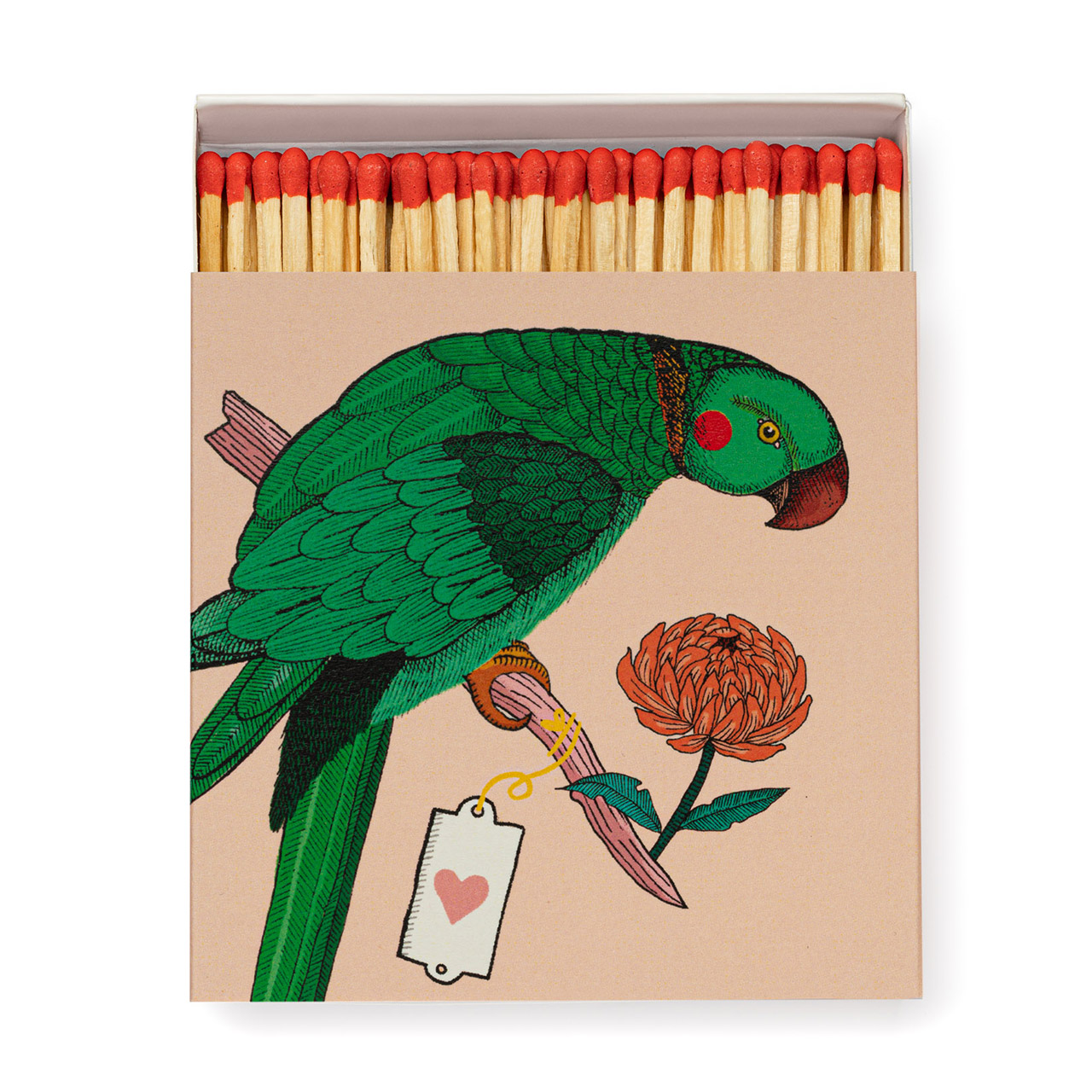 Matches Ariane Parrot