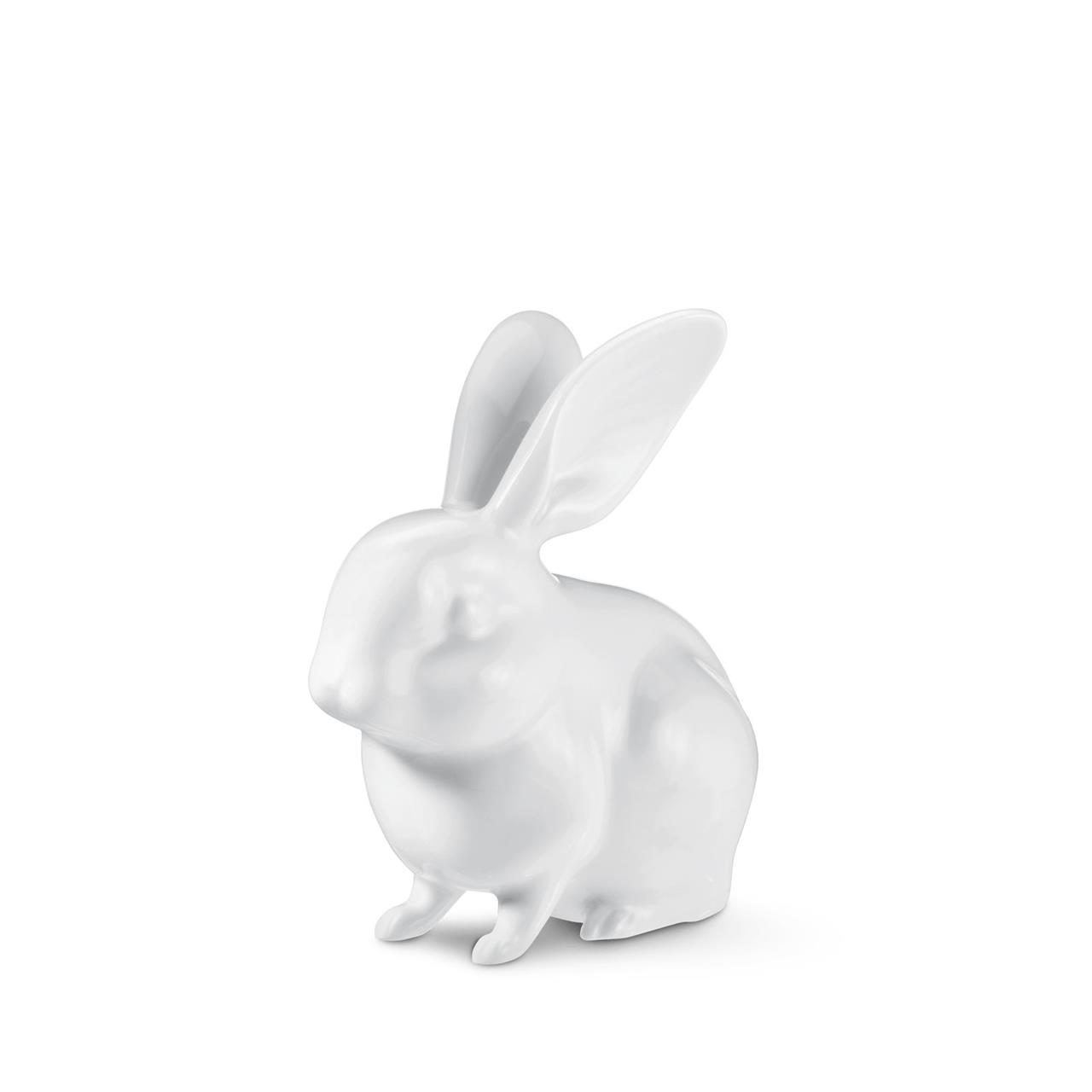 Hare sitting white