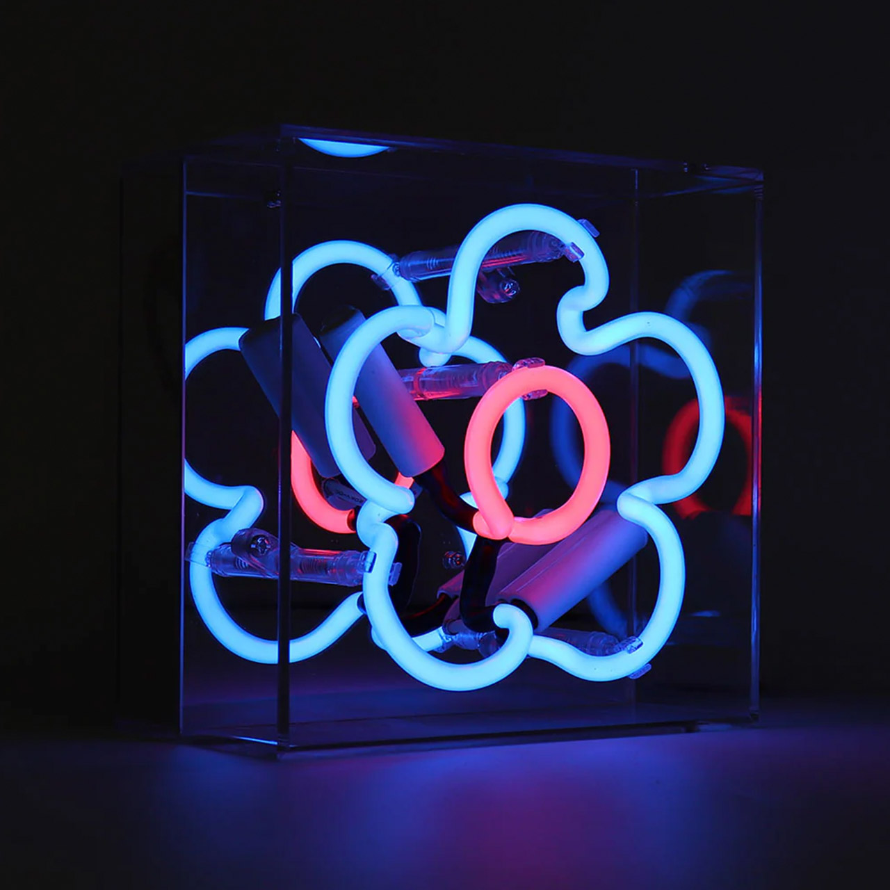 Mini Acrylic Box Neon - Daisy - Blue