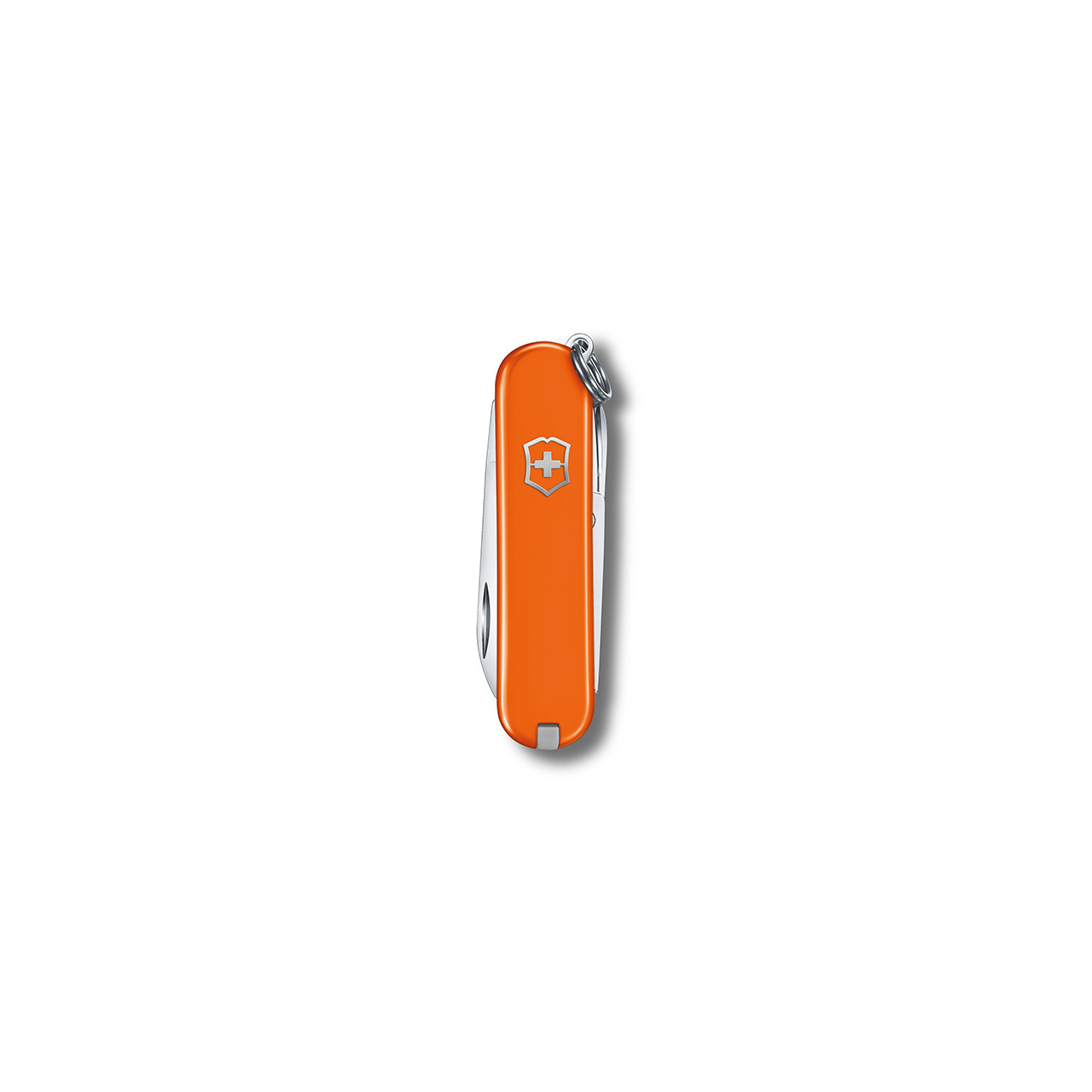 Pocket Knive 58 mm Mango Tango