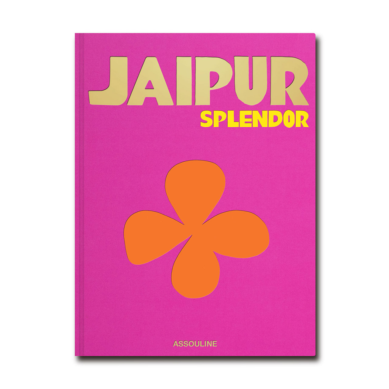 Coffee table book Jaipur Splendor