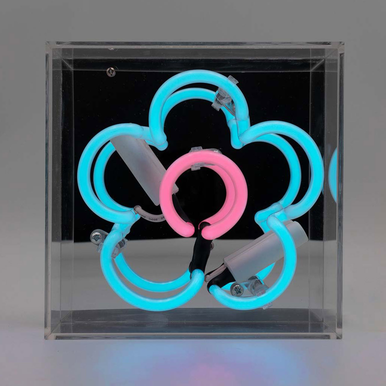 Mini Acrylic Box Neon - Daisy - Blue