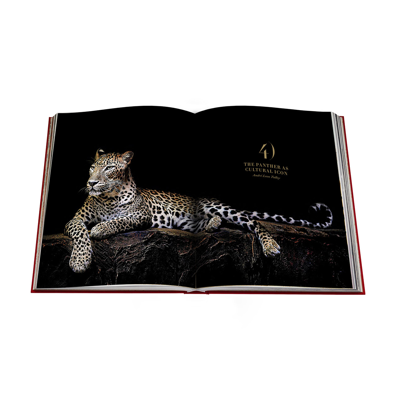 Coffee table book Cartier Panthere