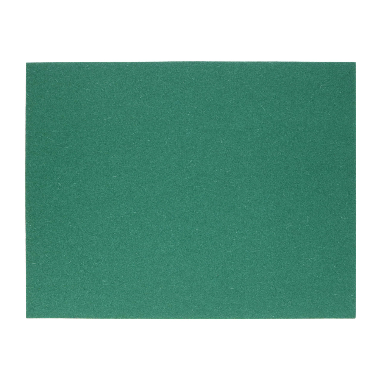 Placemat rectangular 45x35 cm jade 49