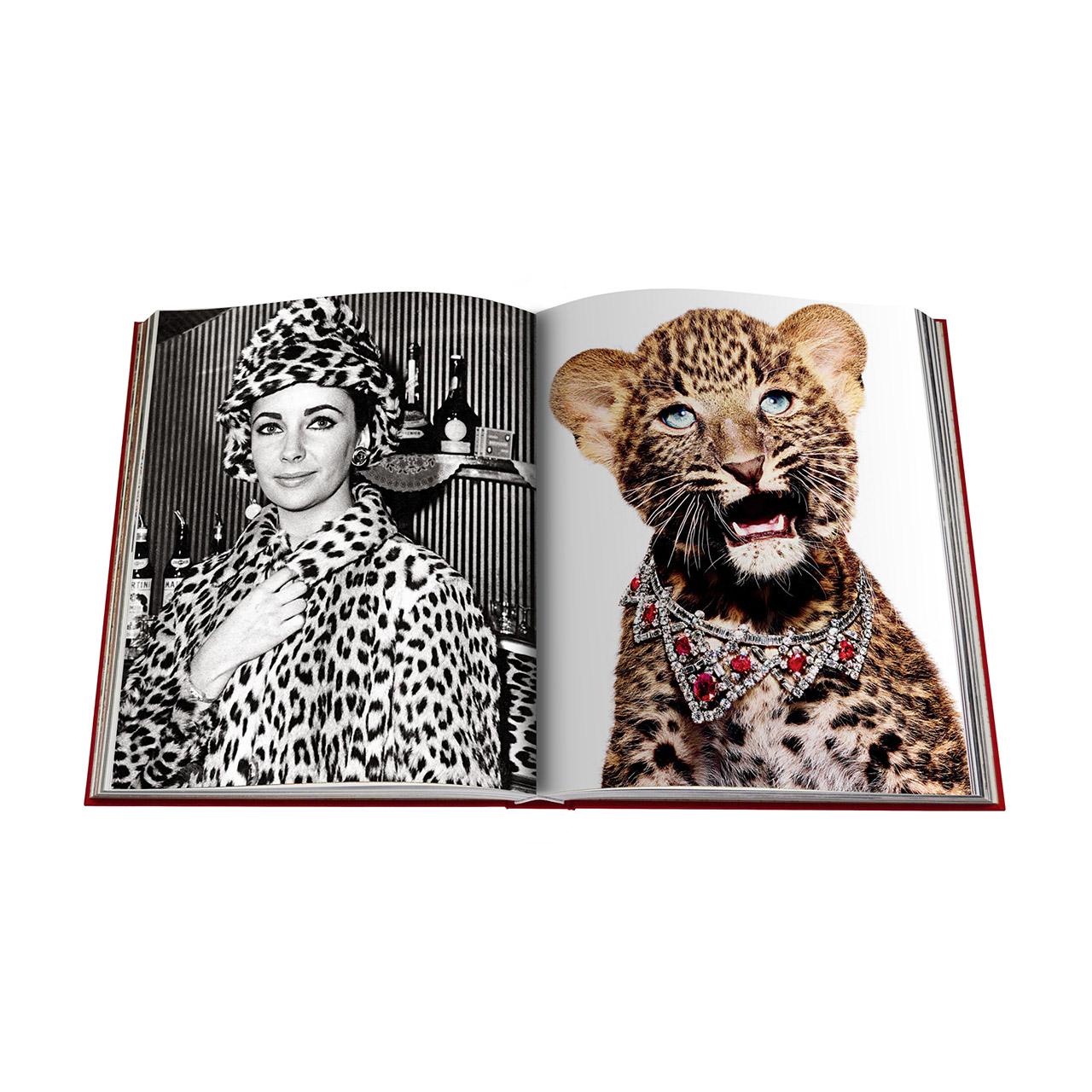 Coffee table book Cartier Panthere