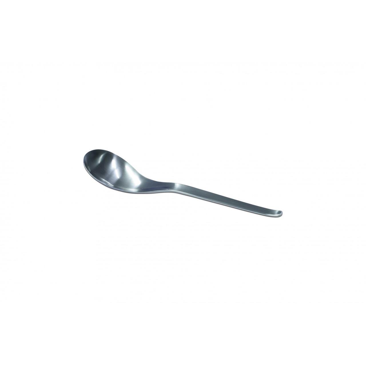 Serving Spoon